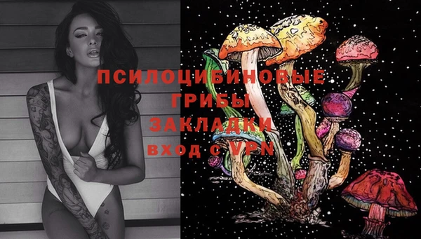 первитин Краснослободск