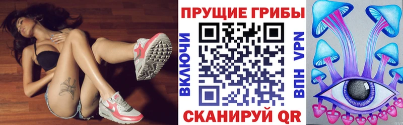 Псилоцибиновые грибы GOLDEN TEACHER  Купить  Красноуфимск 