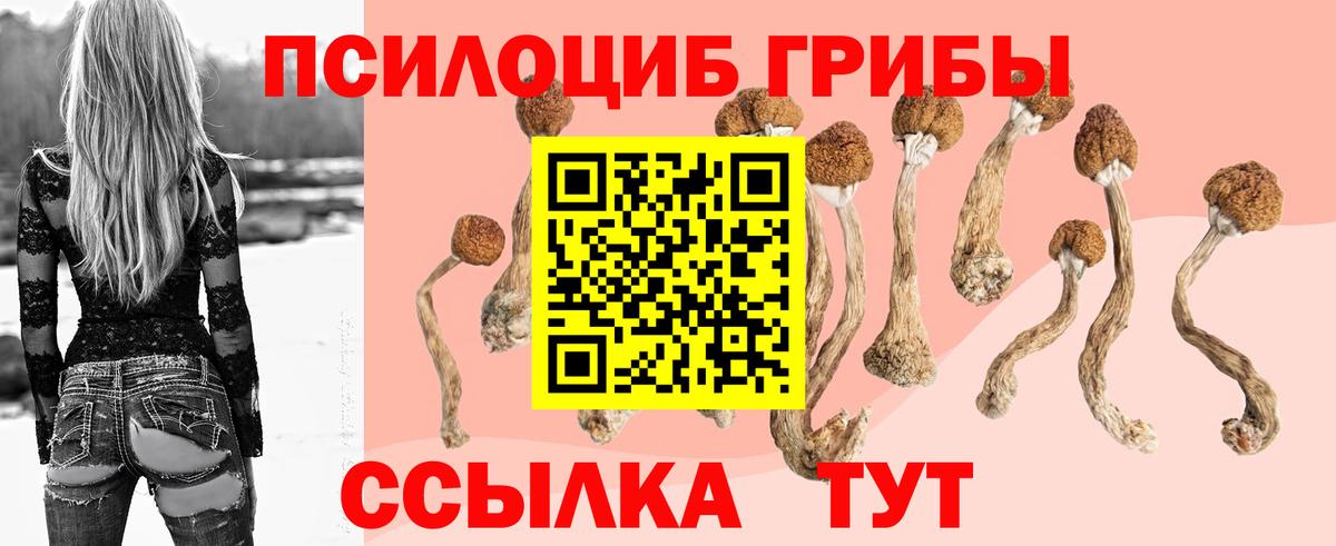 что такое   Вход с VPN  Красноуфимск  Галлюциногенные грибы прущие грибы 