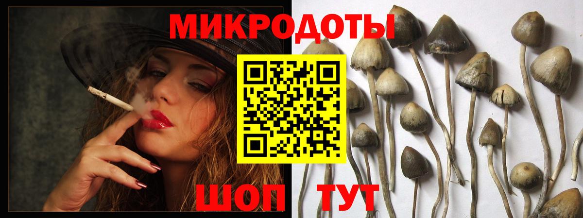 Галлюциногенные грибы прущие грибы Красноуфимск